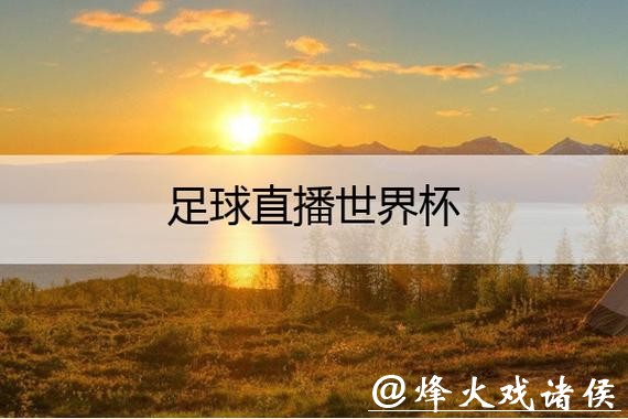免费看世界杯赛事在线直播的最佳网站推荐